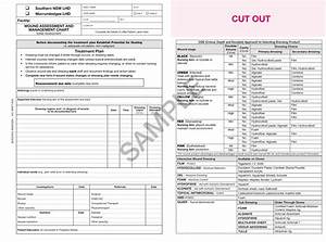 510706 Wound Assessment Management Chart Initial Assessment