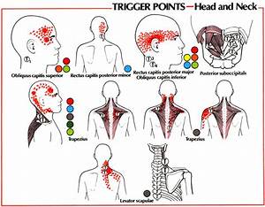 Injury Report Neck Muscle Tension Strains Beautiful To The Core