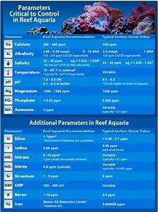 Dosing Rules Dosing 101 For Your Reef Aquarium Reefedition