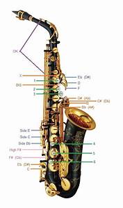 An Image Of A Saxophone Labeled In Parts