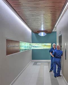 Palos Health South Campus Healthcare Snapshots Healthcare Design