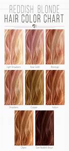  Hair Color Chart The Shades Kissed By The Sun Hera Hair Beauty