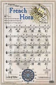 French Horn Chart Boutiquexeno