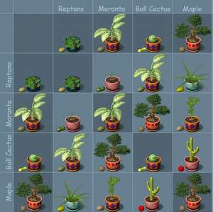 Plant Tycoon Flower Chart Tikloman