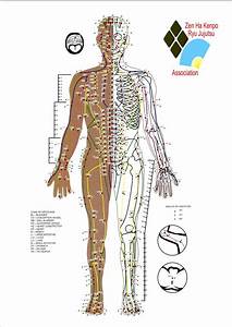 Free Pressure Point Chart Pdf 11480kb 5 Page S Pressure Points