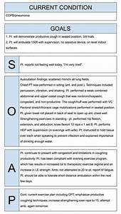 Printable Physical Therapy Systems Review Template Pdf Sample Soap