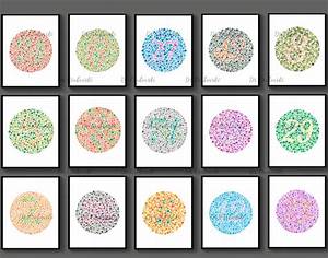 Ishihara Test For Color Blindness Color Perception Medical Etsy