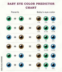 Quot Baby Eye Color Predictor Chart Template Quot Stock Image And Royalty Free