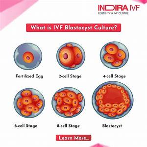 Pin On Best Ivf Center In India