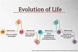 Timeline Of The Evolution Of Life Infographic Simple Infographic