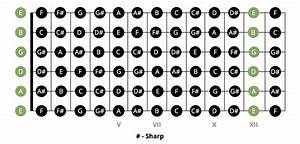 most popular beginner guitar chords chart musician tuts