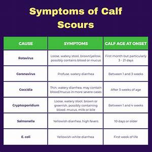 Recognizing Non Infectious Calf Scours And Scours Symptoms Pro Earth