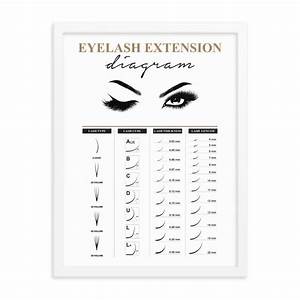 Eyelash Extension Diagram Beauty Therapist Chart Eyelash Etsy
