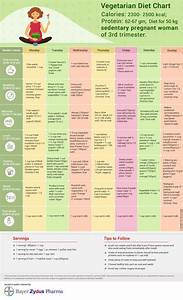 third trimester diet diet during last trimester of pregnancy by