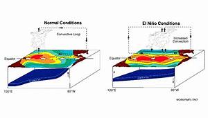Special Update On El Niño 2014 Recent Observations Forecasts And