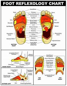 Feet Top And Bottom Reflexology Foot Chart Reflexology Foot