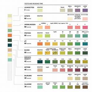 Creating Urine Dipstick Colour Charts Natsuko Hayashida Urine