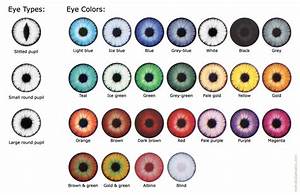 How Is Eye Color Determined In Humans