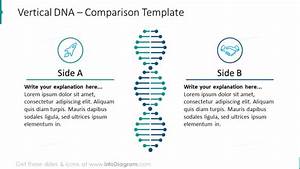 Comparison Chart Illustrated With Vertical Dna Graphics