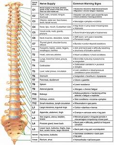 Pin By Deana Wilcox On For The Spine Spine Health Health 