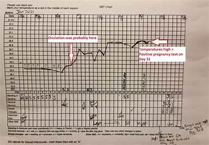 How To Use A Bbt Chart To Help You Fall Point Specifics 2022