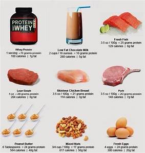 Top Protein Rich Foods Useful Information