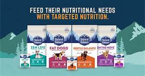 Natural Balance Launches New Dog Foods Tailored To Meet Specific