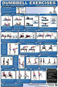 Fitness Poster Back And Core Dumbbell Exercises For Home Use Laminated