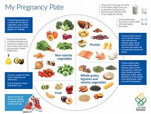 Nutrition In Pregnancy And Lactation Nutrition Science And Everyday