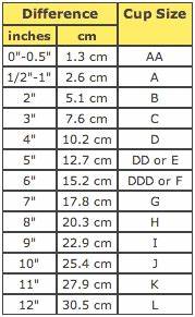Basic Size Chart For Women 39 S Education Zone