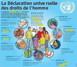 Educational Infographic Fiche Exposés La Déclaration Universelle