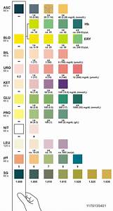 Urinalysis Test Color Chart Picture