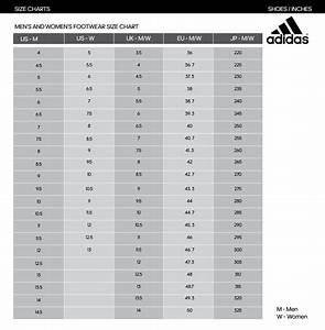 Buy Adidas Shoe Size Chart Up To 49 Discounts