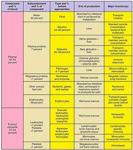 components of flow chart