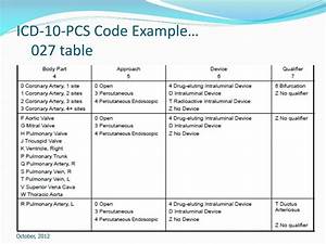 Ppt Icd 10 Cm Pcs What Does It Mean To Us Powerpoint Presentation