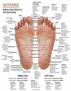 Why Putting Essential Oils On The Bottom Of Your Feet Works