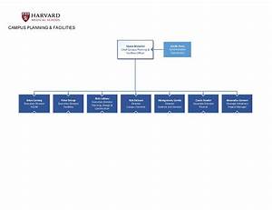 organizational chart harvard medical campus planning