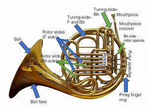 The Horn Brass Techniques And Pedagogy