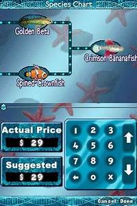 Fish Tycoon Magic Fish Chart Inputbid