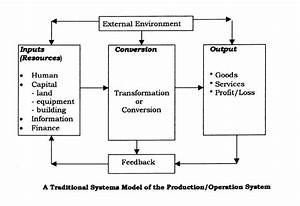 Neuman Systems Model Diagram