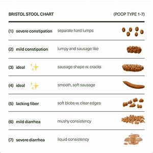  Human Chart Stool Color