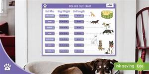 Dog Bed Sizes Chart Resources Twinkl Teacher Made