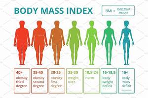 Medical Infographics With Illustrations Of Female Body Mass Index