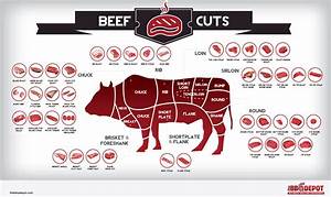 Beef Cuts Visual Ly