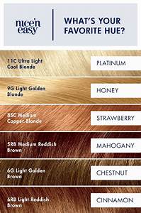 Clairol Nice 39 N Easy Permanent Hair Color Permanent Hair Color