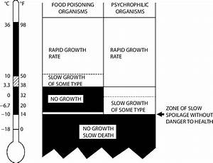2 Low Temperature Limits Growth Of Food Poisoning And Food Spoilage