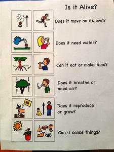 This Is An Example Of A Useful Chart That Children Can Reference When