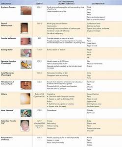 Skin Abnormalities Chart
