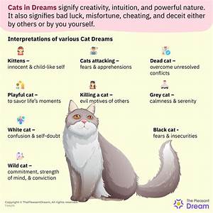 Spiritual Meaning Of Cat Attacking You In A Dream