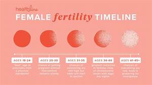 A Breakdown Of The Fertility Timeline Female Fertility Fertility